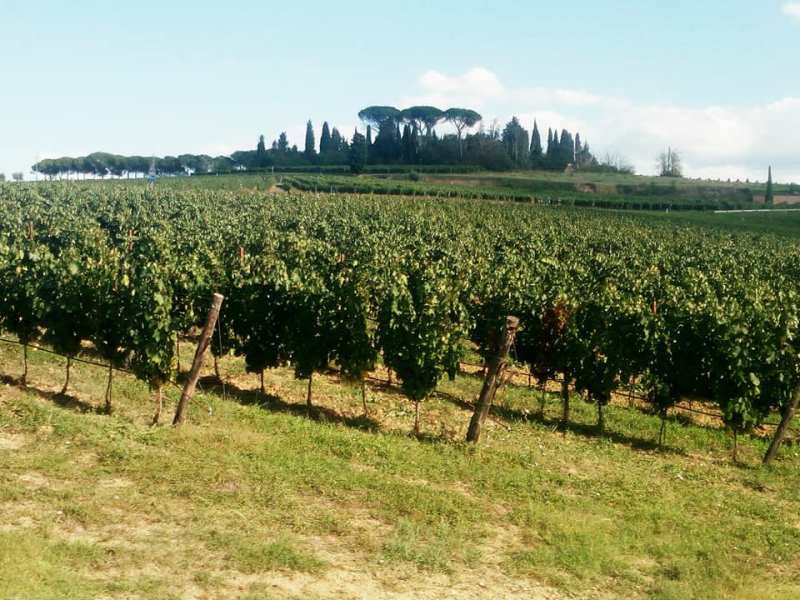 Explorando la Toscana en junio: Descubre el encanto del verano&nbsp;toscano